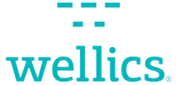 partner-05-wellics